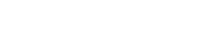 Brave Orbit